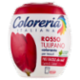 COLORERIA Rosso Tulipano 350 gr.