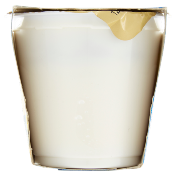 Selex Yogurt Intero Ananas con Frutta in Pezzi 2x125 g