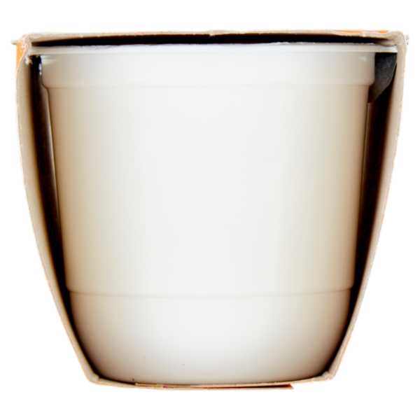 ZYMIL Alta Digeribilità Senza Lattosio Yogurt alla Vaniglia 2 x 125 g