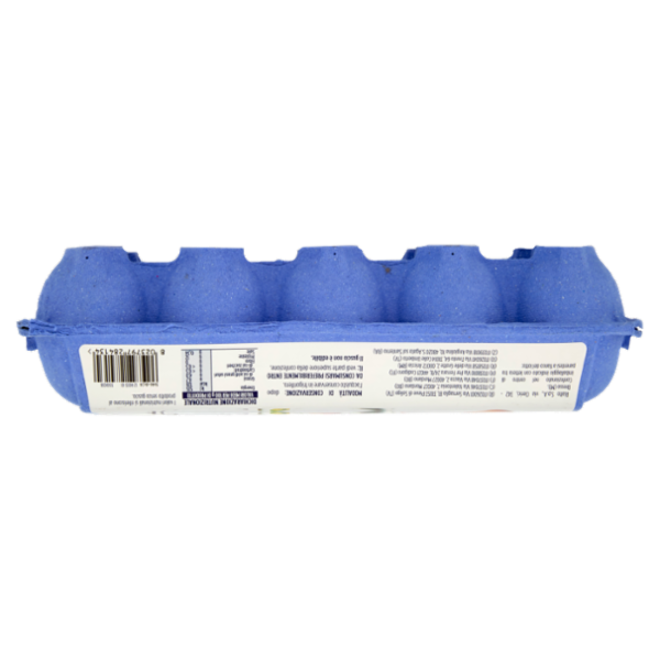 IL GIGANTE Uova da allevamento a terra 10 Uova Fresche Medie