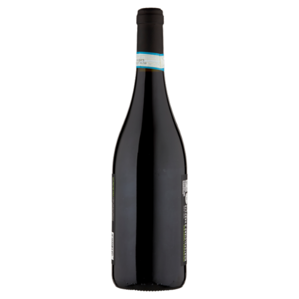 ChichiBio BioVegan Montepulciano d'Abruzzo DOC 750 ml