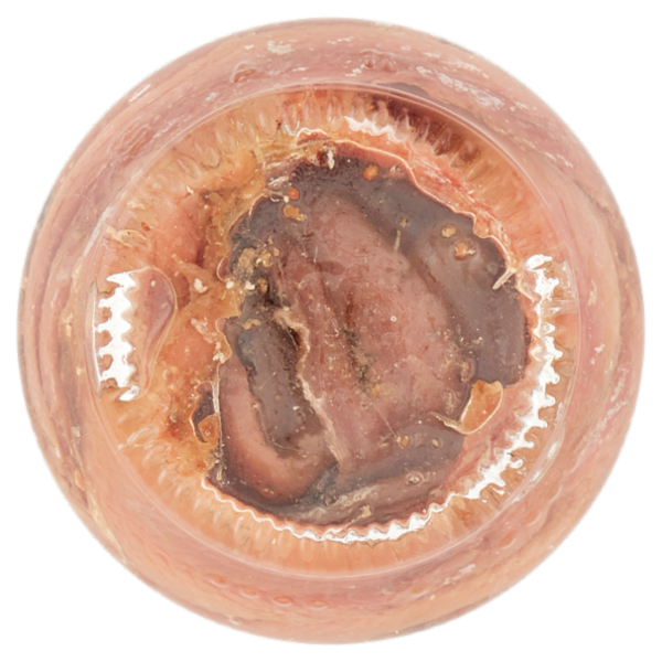 Zarotti Filetti di Alici Classici in olio di semi di Girasole 140 g