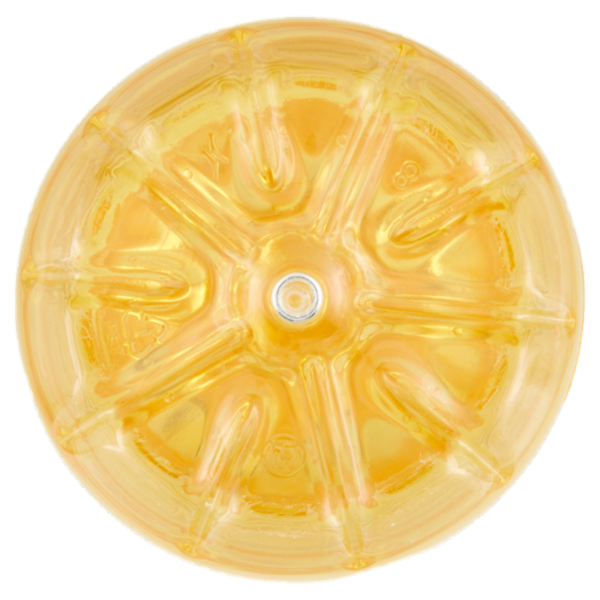 Sù Olio di Semi di Arachide 1 L