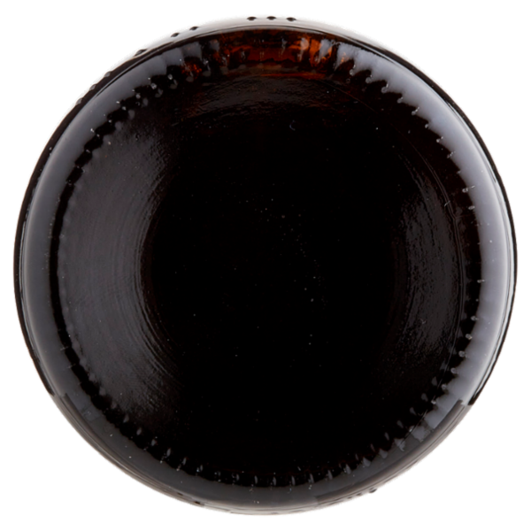 Wieninger Helles 0,5 l