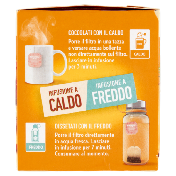 Bonomelli Infusi Fruttosi 100% Naturali Ananas e Pesca 12 Filtri 24 g