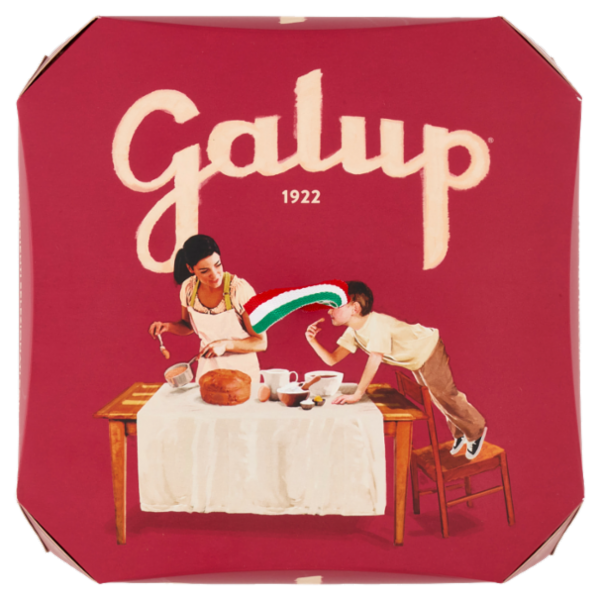 Galup Amarene e Cioccolato 750 g