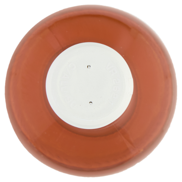 Pasqua Chiaretto di Bardolino DOC 750 ml