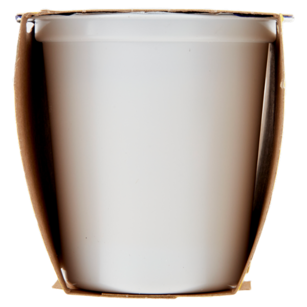 Centrale del latte Vicenza Yogurt Intero Frutta Frullata Banana 2 x 125 g