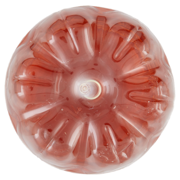 San Benedetto Thè Pesca 0,5 L