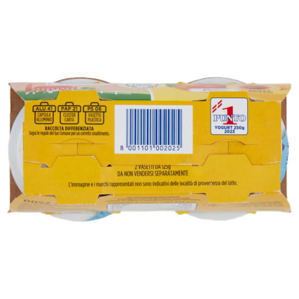 Centrale del latte Vicenza Yogurt Magro Frutta Frullata Pesca 2 x 125 g