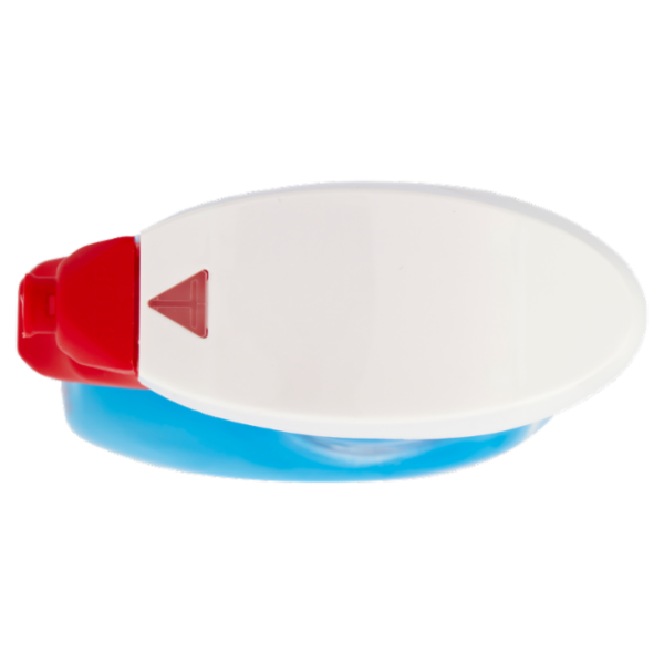 Spuma di Sciampagna Smacchiatore Bianco Puro Spray Mousse Igienizzante 500 ml