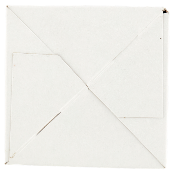 foodNess Caffè Verde e Ganoderma 10 x 20 g