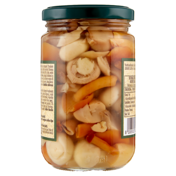 Le Conserve Toscane Funghi Misti in Brodo Vegetale 280 g