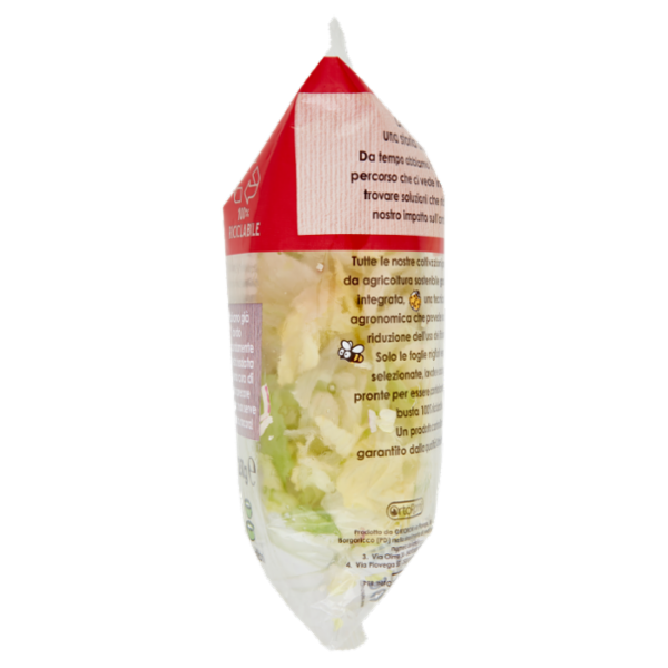 OrtoRomi Iceberg & Cipolla 250 g