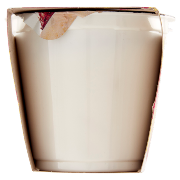 Centrale del Latte Alessandria e Asti il tuo Yogurt Ananas Magro 2 x 125 g