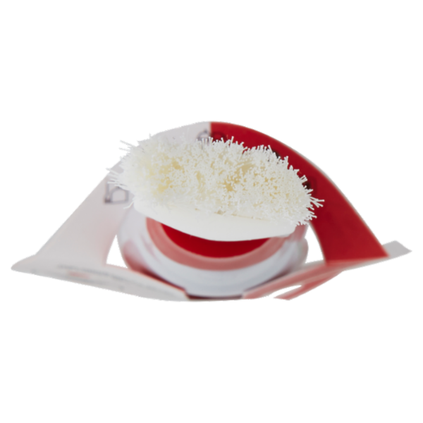 Selex Arte della Tavola Pennellino