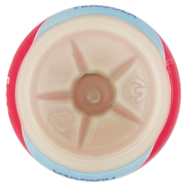 Stuffer Liberi dal lattosio Yogurt da Bere Fragola 500 g