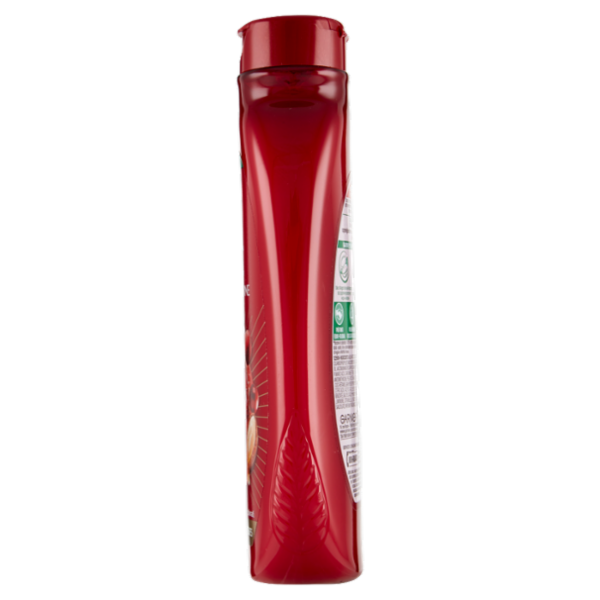 Garnier Ultra Dolce Shampoo all'Olio di Argan e Mirtillo Rosso per capelli colorati, 250 ml