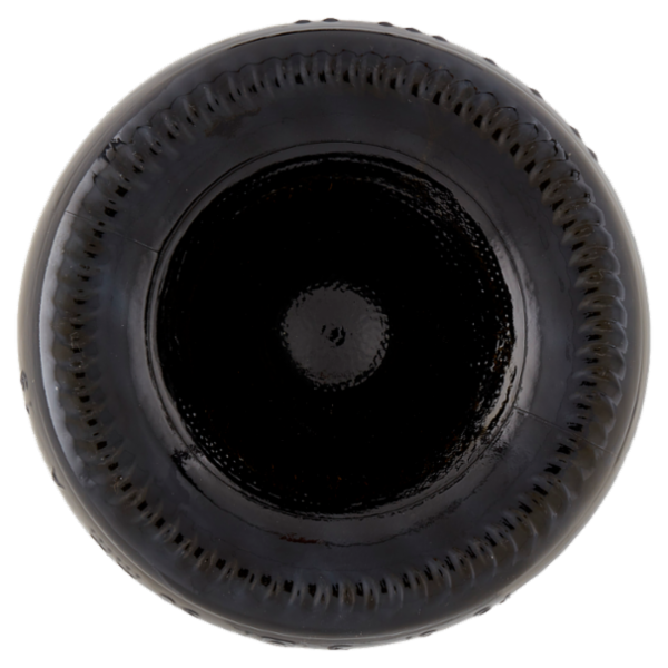 Rocca dei Forti Bio Vino Spumante Brut Biologico 75 cl