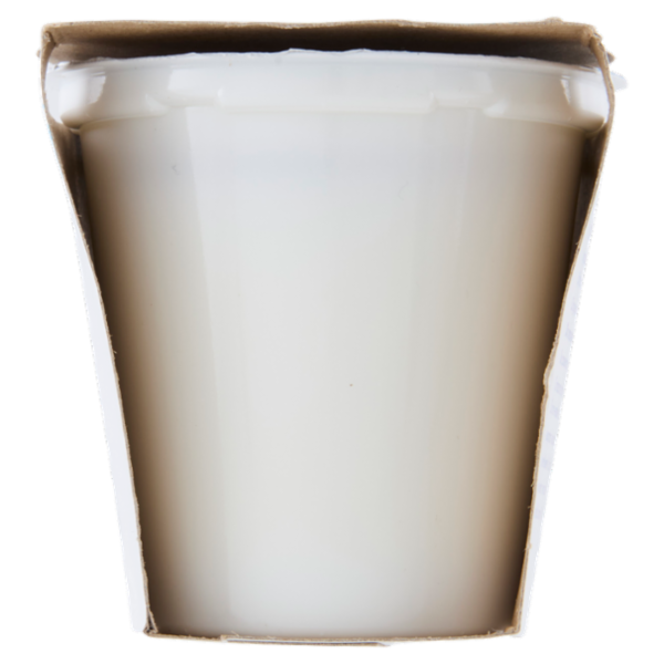 Coapla Yogurt Intero con Latte Alta Qualità 2 x 125 g