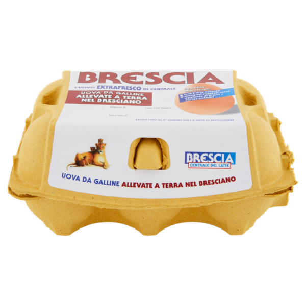 Brescia Uova da Galline Allevate a Terra nel Bresciano 6 Uova Extra Fresche Cat. A 340 g