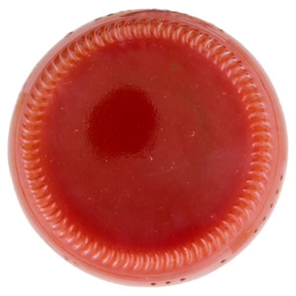 Le Conserve della Nonna Bio Lampomodoro 700 g