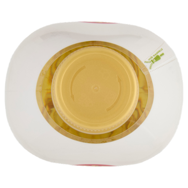 Sagra Olio di Semi Arachide 1 L