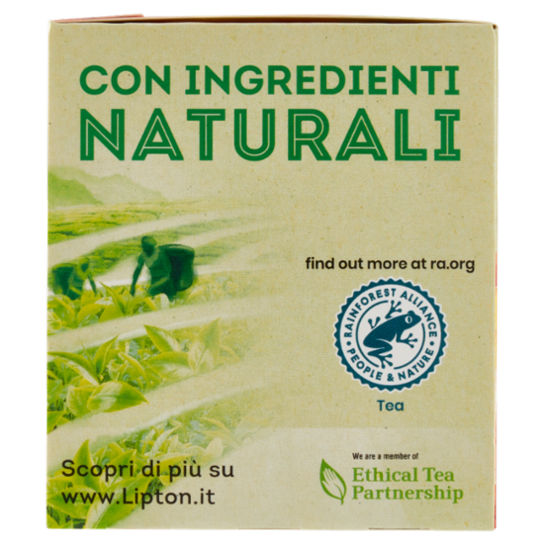Lipton Té Verde allo Zenzero & Curcuma 20 Filtri 26 g