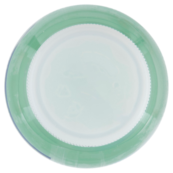 San Benedetto Aquavitamin Brain-Up Gusto Kiwi Mela Melograno 0,4 L