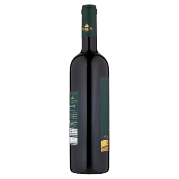 Calasetta Aina Carignano del Sulcis Riserva DOC Sardegna 750 ml