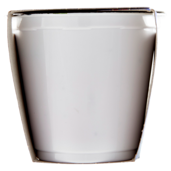 Consilia Yogurt Intero Mirtillo Nero con Frutta in Pezzi 2x125 g