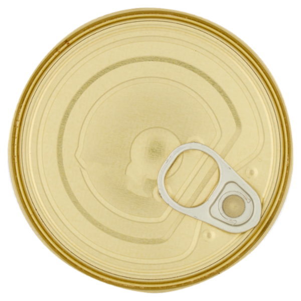 Consorcio Tonno in olio di oliva extra vergine biologico 200 g