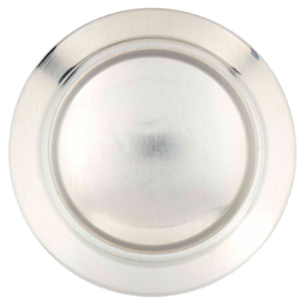 FORST Premium CAN 0,50 l