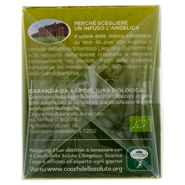 L'Angelica Passione di Frutta bio Menta & Lime 15 Filtri 30 g