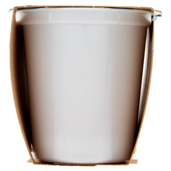 Centrale del latte Vicenza Yogurt Magro Frutta Frullata Fragola 2 x 125 g