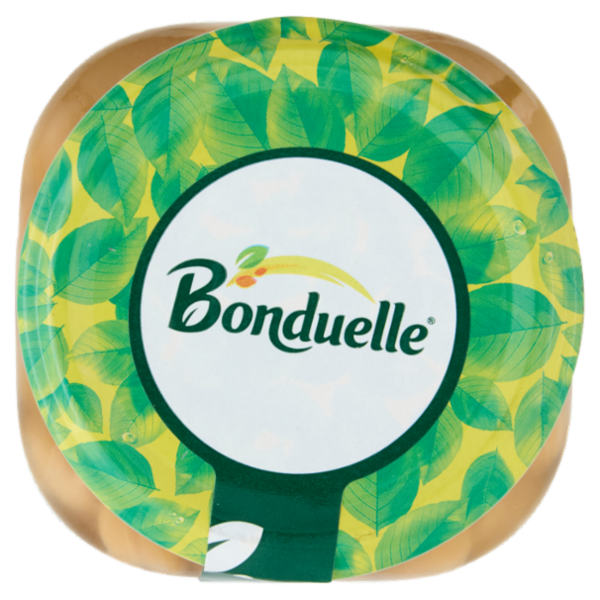 Bonduelle Ceci 330 g