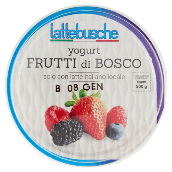 lattebusche yogurt Frutti di Bosco 500 g
