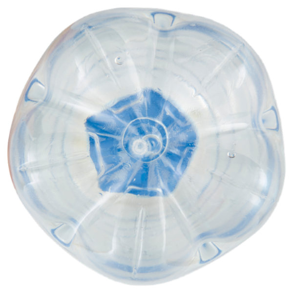 Alpe Guizza Fonte Caudana Frizzante 1,5 L