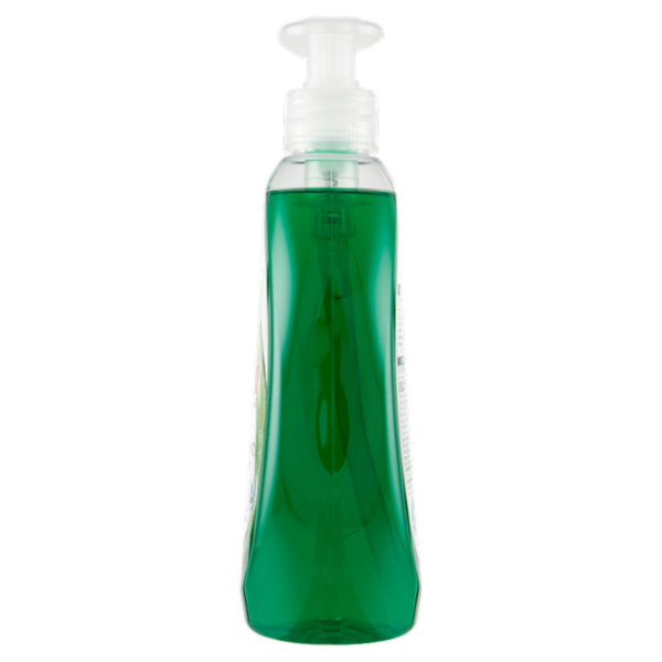 Scala Piatti Concentrato Igienizzante Zenzero e Limone 500 ml