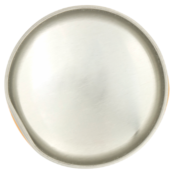 Raid Max Scarafaggi e Formiche 300 ml