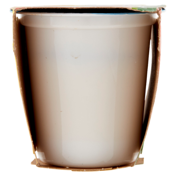 Centrale del latte Vicenza Yogurt Magro Frutta Frullata Pesca 2 x 125 g