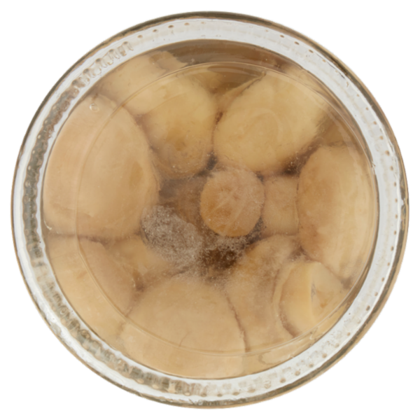 Ponti Funghi Sottolio 290 g