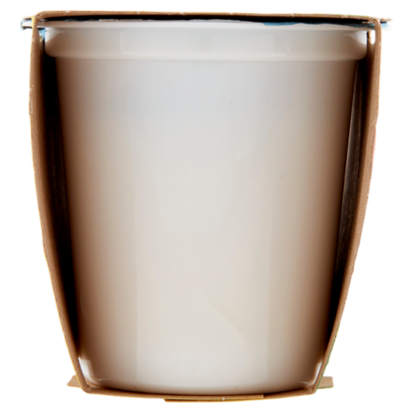 Centrale del latte Vicenza Yogurt Magro Frutta Frullata Banana 2 x 125 g