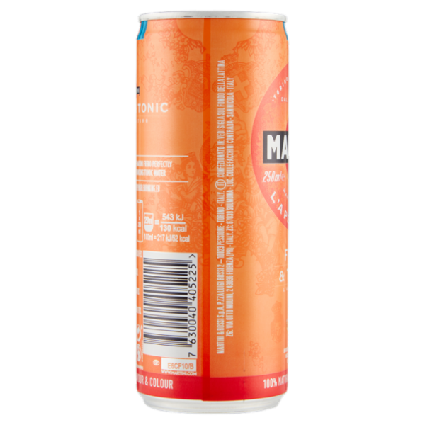 Martini l'Aperitivo Fiero & Tonic 250 ml