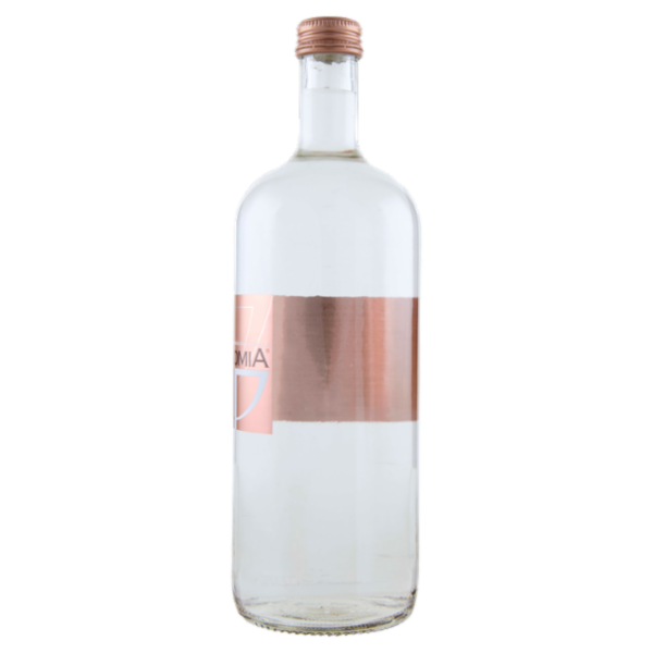 Dolomia Acqua Minerale Naturale Oligominerale Frizzante 75 cl