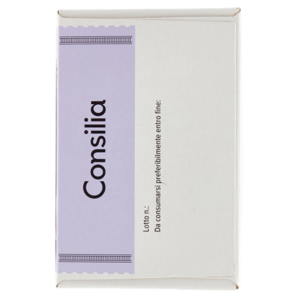 Consilia Dessert Gelato Vaniglia con Copertura al Cacao Magro 320 g