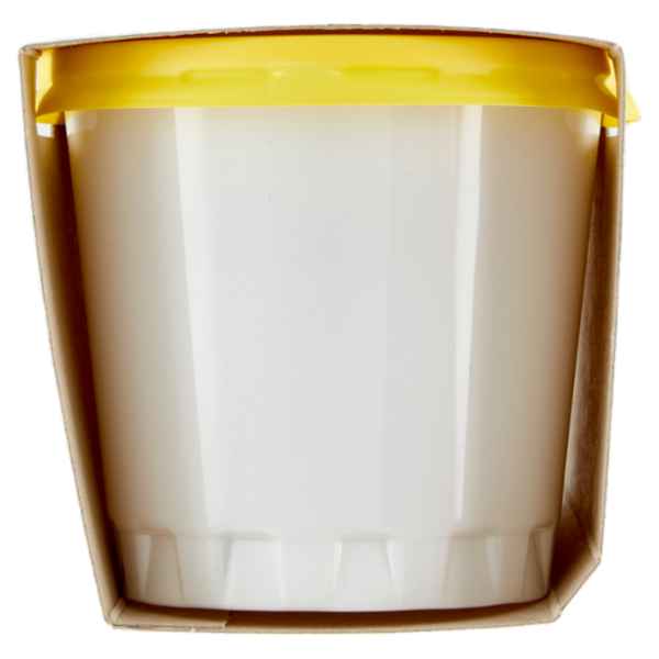 Alpigel Granite gusto Limone senza coloranti 2 x 135 g