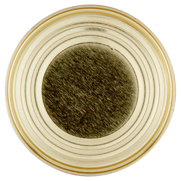 Vital nature Bio Fagioli Neri 400 g