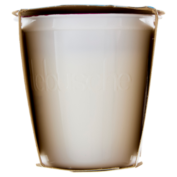 lattebusche yogurt magro Bianco 2 x 125 g