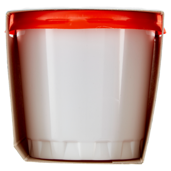 Alpigel Granite gusto Arancio senza coloranti 2 x 135 g